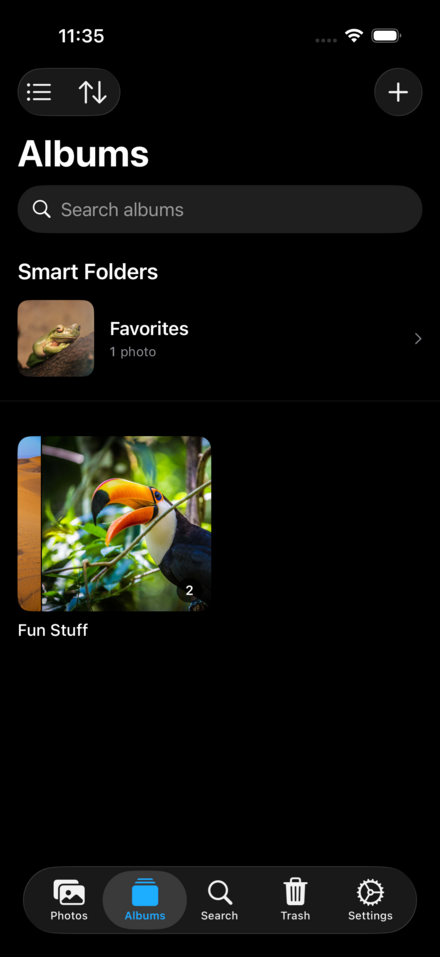 ReMuse Photos album view