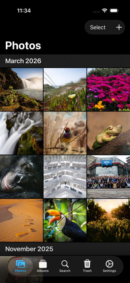 ReMuse Photos main timeline view